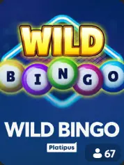 Wild Bingo BC Game España game cover
