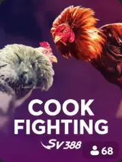 Cock Fighting BC Game España game cover