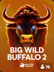 Big Wild Buffalo 2 BC Game España game cover